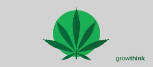 Cannabis Business Plan Template