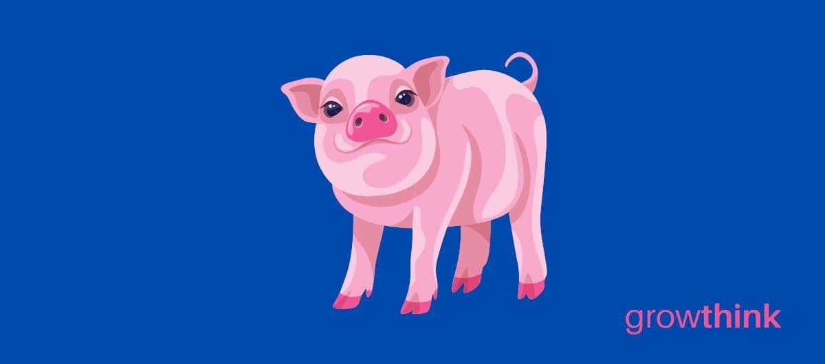 Pig Farm Business Plan