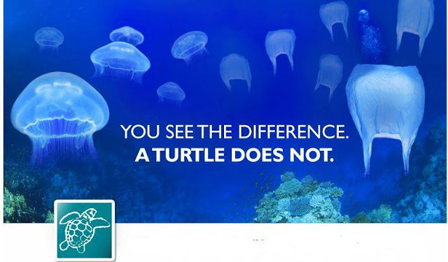 Turtle-cant-differentiate-Jellyfish-and-plastic-bag.-stop-throwing-plastic-to-the-sea save the oceans