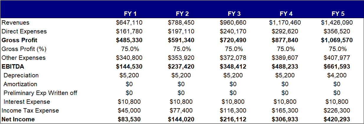 Business Plan Financial Summary