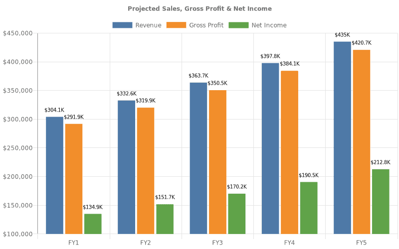 Business Plan Format financial projections