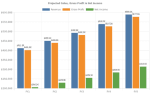 Fill in the blank business plan template financial projections