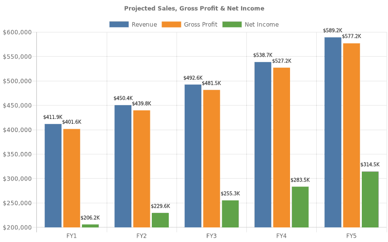 Fill in the blank business plan template financial projections