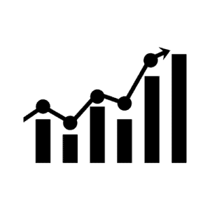 company financial statements